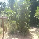 Les Soleiades